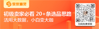 卖家精灵